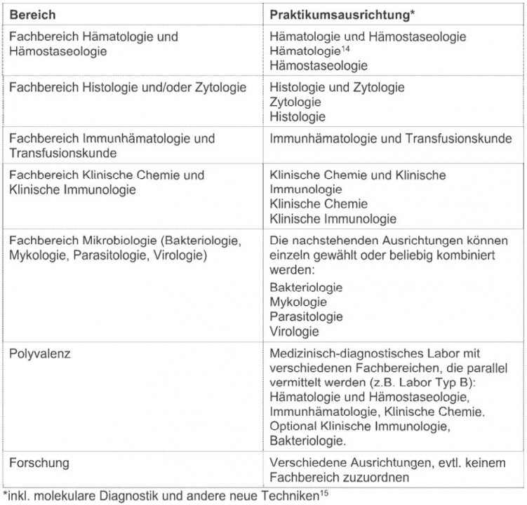 bma-hf-praktikumsbereiche