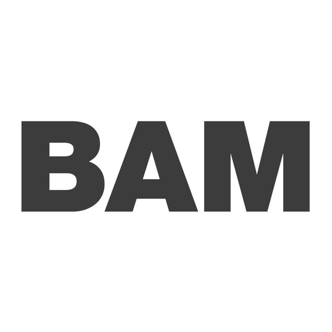 bam-logo